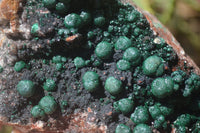 Natural Ball Malachite On Quartz Matrix Specimen x 1 From Kambove, Congo