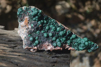 Natural Ball Malachite On Quartz Matrix Specimen x 1 From Kambove, Congo