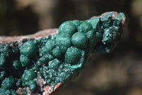 Natural Ball Malachite On Quartz Matrix Specimen x 1 From Kambove, Congo