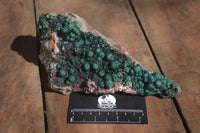 Natural Ball Malachite On Quartz Matrix Specimen x 1 From Kambove, Congo