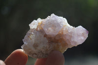 Natural Cactus Flower Spirit Quartz Clusters x 12 From Boekenhouthoek, South Africa