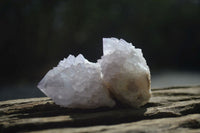 Natural Cactus Flower Spirit Quartz Clusters x 12 From Boekenhouthoek, South Africa