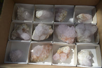 Natural Cactus Flower Spirit Quartz Clusters x 12 From Boekenhouthoek, South Africa