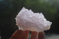 Natural Cactus Flower Spirit Quartz Clusters x 12 From Boekenhouthoek, South Africa