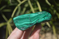 Polished Flower Banded Malachite Free Forms x 6 From Congo