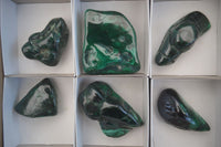 Polished Flower Banded Malachite Free Forms x 6 From Congo