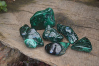 Polished Flower Banded Malachite Free Forms x 6 From Congo