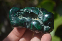 Polished Flower Banded Malachite Free Forms x 6 From Congo