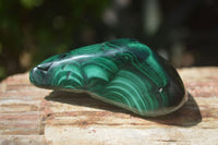 Polished Flower Banded Malachite Free Forms x 6 From Congo