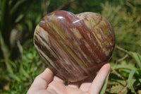 Polished Podocarpus Petrified Wood Hearts x 3 From Mahajanga, Madagascar