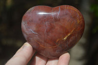 Polished Podocarpus Petrified Wood Hearts x 3 From Mahajanga, Madagascar