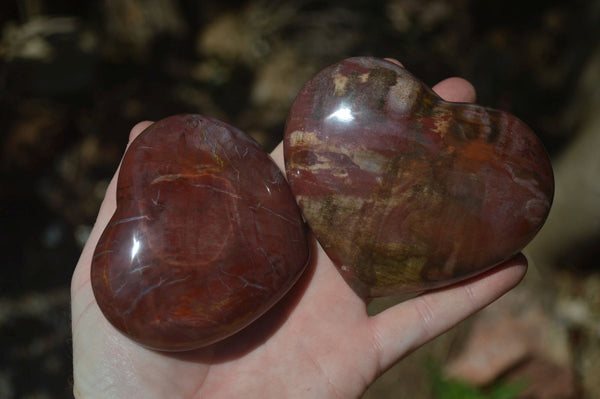 Polished Podocarpus Petrified Wood Hearts x 3 From Mahajanga, Madagascar