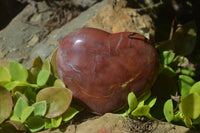 Polished Podocarpus Petrified Wood Hearts x 3 From Mahajanga, Madagascar