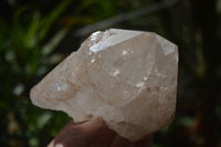 Natural Etched Quartz Clusters x 5 From Mpika, Zambia