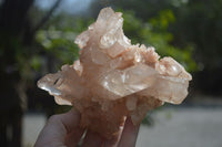 Natural Etched Quartz Clusters x 5 From Mpika, Zambia