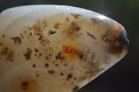 Polished Dendritic Agate Standing Free Forms x 4 From Madagascar