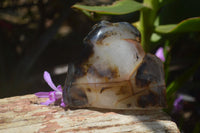 Polished Dendritic Agate Standing Free Forms x 4 From Madagascar