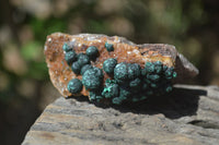 Natural Ball Malachite On Quartz Matrix Specimens x 5 From Kambove, Congo