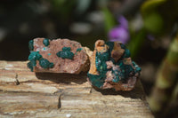 Natural Dioptase On Dolomite Specimens x 12 From Likasi, Congo