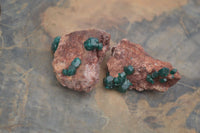 Natural Dioptase On Dolomite Specimens x 12 From Likasi, Congo