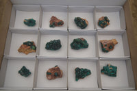 Natural Dioptase On Dolomite Specimens x 12 From Likasi, Congo