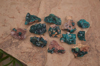 Natural Dioptase On Dolomite Specimens x 12 From Likasi, Congo