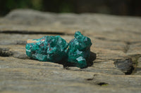 Natural Dioptase On Dolomite Specimens x 12 From Likasi, Congo