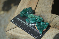 Natural Dioptase On Dolomite Specimens x 12 From Likasi, Congo