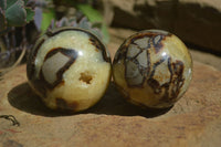 Polished Septerye Spheres x 6 From Mahajanga, Madagascar