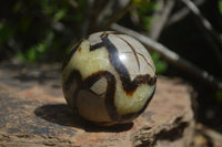 Polished Septerye Spheres x 6 From Mahajanga, Madagascar