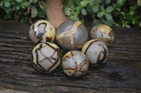 Polished Septerye Spheres x 6 From Mahajanga, Madagascar