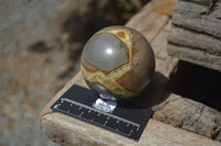 Polished Septerye Spheres x 6 From Mahajanga, Madagascar