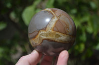 Polished Septerye Spheres x 6 From Mahajanga, Madagascar