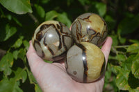 Polished Septerye Spheres x 6 From Mahajanga, Madagascar