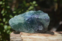 Natural Watermelon Fluorite Cobbed Specimens x 6 From Uis, Namibia