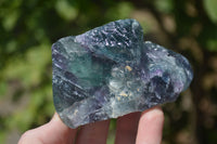 Natural Watermelon Fluorite Cobbed Specimens x 6 From Uis, Namibia