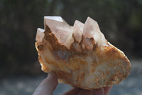 Natural Red Hematoid Quartz Clusters x 3 From Karoi, Zimbabwe