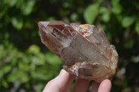 Natural Red Hematoid Quartz Clusters x 3 From Karoi, Zimbabwe