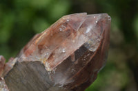 Natural Red Hematoid Quartz Clusters x 3 From Karoi, Zimbabwe