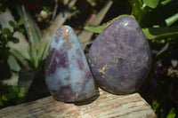 Polished Blue Rose Quartz Standing Free Forms x 2 From Madagascar