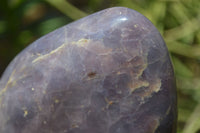 Polished Blue Rose Quartz Standing Free Forms x 2 From Madagascar