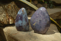 Polished Blue Rose Quartz Standing Free Forms x 2 From Madagascar