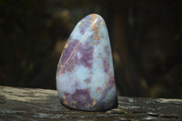 Polished Blue Rose Quartz Standing Free Forms x 2 From Madagascar