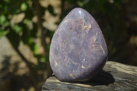 Polished Blue Rose Quartz Standing Free Forms x 2 From Madagascar