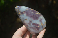 Polished Blue Rose Quartz Standing Free Forms x 2 From Madagascar