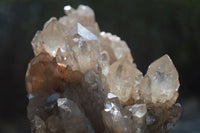 Natural Smokey Phantom Quartz Cluster x 1 From Luena, Congo