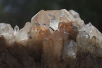 Natural Smokey Phantom Quartz Cluster x 1 From Luena, Congo