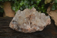 Natural Smokey Phantom Quartz Cluster x 1 From Luena, Congo