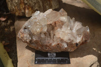 Natural Smokey Phantom Quartz Cluster x 1 From Luena, Congo