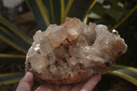 Natural Smokey Phantom Quartz Cluster x 1 From Luena, Congo